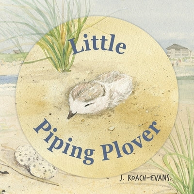 Little Piping Plover by Oliveira, Erin