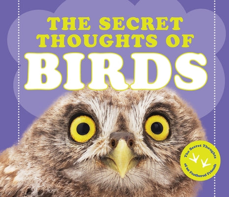 The Secret Thoughts of Birds by Rose, Cj