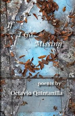 If I Go Missing by Quintanilla, Octavio