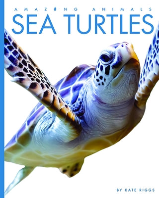 Sea Turtles by Riggs, Kate