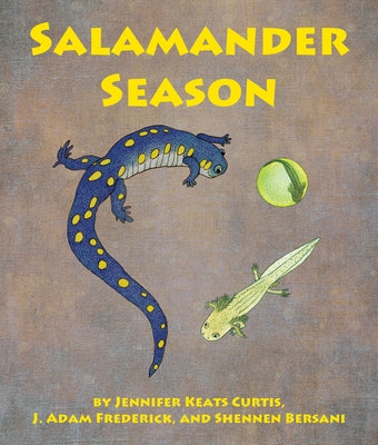 Salamander Season by Curtis, Jennifer Keats