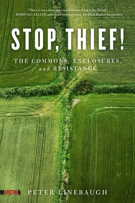 Stop, Thief!: The Commons, Enclosures, and Resistance by Linebaugh, Peter