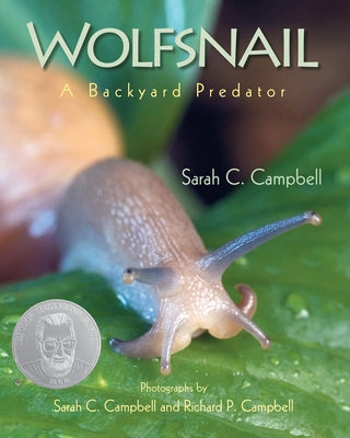 Wolfsnail: A Backyard Predator by Campbell, Sarah C.