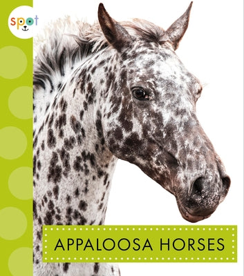 Appaloosa Horses by Thielges, Alissa