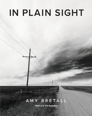 In Plain Sight: Faith Is In The Everyday by Bretall, Amy