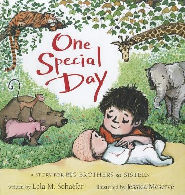 One Special Day: A Story for Big Brothers and Sisters by Schaefer, Lola