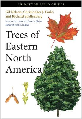 Trees of Eastern North America by Nelson, Gil