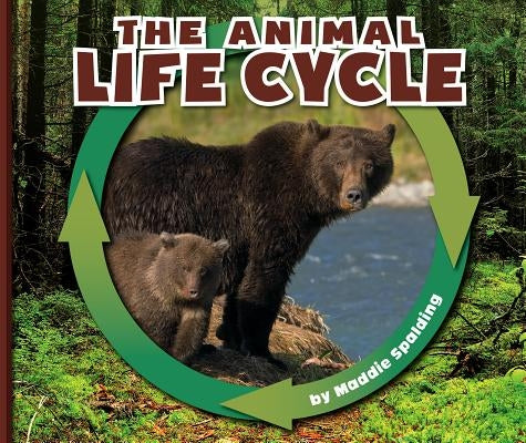 The Animal Life Cycle by Spalding, Maddie