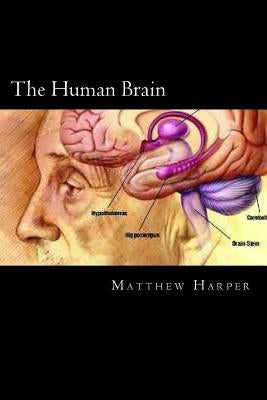 The Human Brain: A Fascinating Book Containing Human Brain Facts, Trivia, Images & Memory Recall Quiz: Suitable for Adults & Children by Harper, Matthew