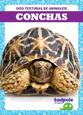 Conchas (Shells) by Gleisner, Jenna Lee