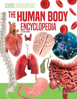 The Human Body Encyclopedia by Cernak, Linda
