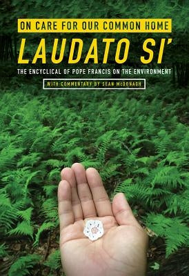 On Care for Our Common Home, Laudato Si': The Encyclical of Pope Francis on the Environment with Commentary by Sean McDonagh by Pope Francis