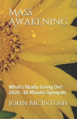 Mass Awakening: What's Really Going On? 2020 -30 Minute Synopsis by McIntosh, John