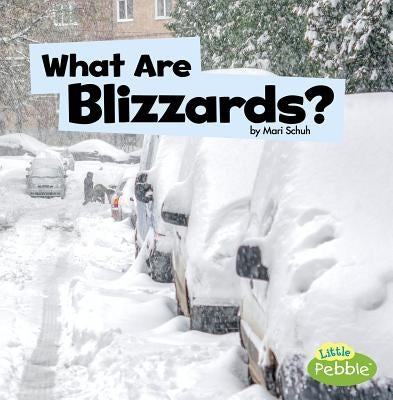 What Are Blizzards? by Schuh, Mari