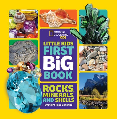 Little Kids First Big Book of Rocks, Minerals & Shells by Donohue, Moira