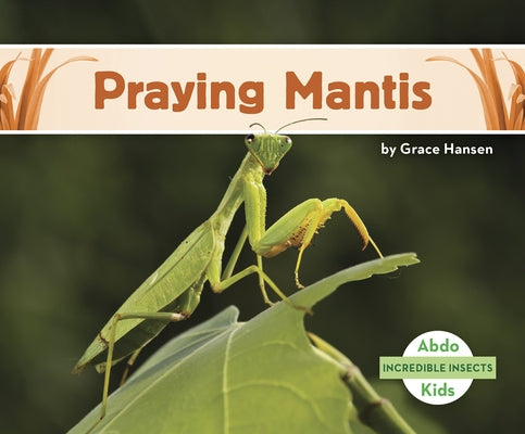 Praying Mantis by Hansen, Grace