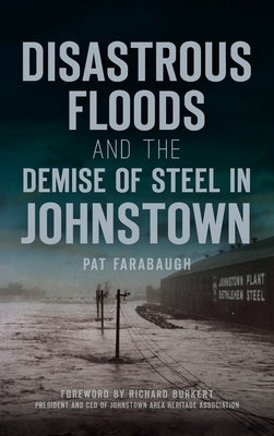 Disastrous Floods and the Demise of Steel in Johnstown by Farabaugh, Pat