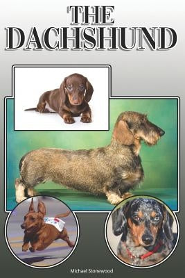 The Dachshund: A Complete and Comprehensive Owners Guide to: Buying, Owning, Health, Grooming, Training, Obedience, Understanding and by Stonewood, Michael