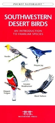 Great Lakes Birds: An Introduction to Familiar Species by Kavanagh, James