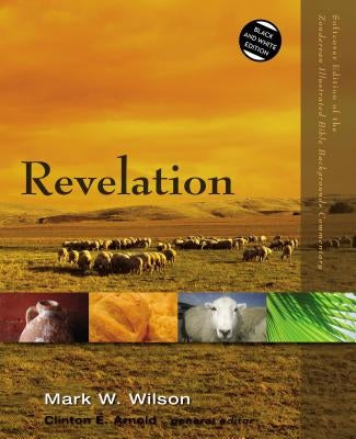Revelation by Wilson, Mark W.