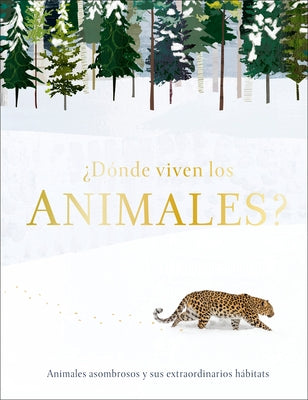 ¿Dónde Viven Los Animales?: Animales Asombrosos Y Sus Extraordinarios Hábitats by Harvey, Derek