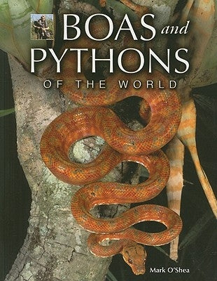 Boas and Pythons of the World by O'Shea, Mark