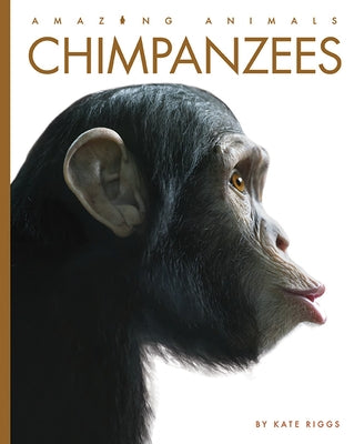 Chimpanzees by Riggs, Kate