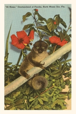 Vintage Journal Slow Loris, Hibiscus, Florida by Found Image Press