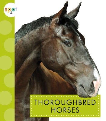 Thoroughbred Horses by Thielges, Alissa