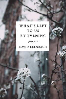 What's Left to Us by Evening by Ebenbach, David