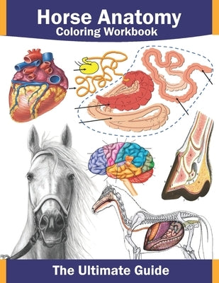 Horse anatomy coloring workbook: Horse anatomy coloring workbook with: horse facts, quizzes, various breeds, horse body and facial language... plus co by Publishing, Mino