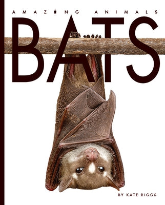 Bats by Bodden, Valerie