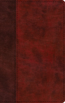 ESV Large Print Thinline Bible (Trutone, Burgundy/Red, Timeless Design) by 