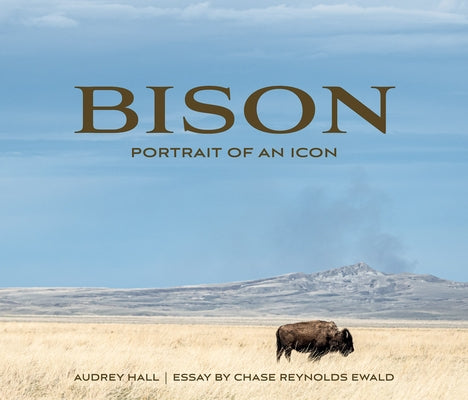 Bison: Portrait of an Icon by Hall, Audrey