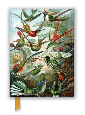 Ernst Haeckel: Hummingbirds (Foiled Journal) by Flame Tree Studio