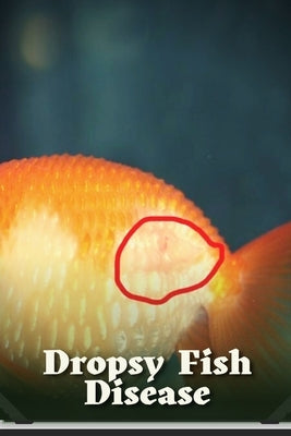 Dropsy Fish Disease: How to Identify & Treat It Effectively by Roberts, Jason