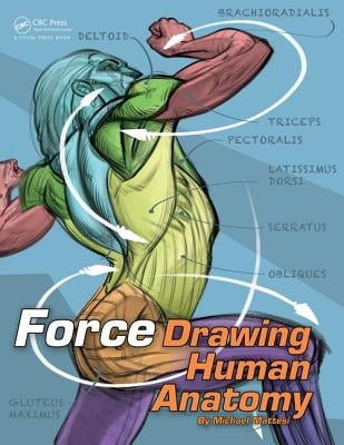 Force: Drawing Human Anatomy by Mattesi, Mike