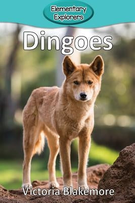 Dingoes by Blakemore, Victoria