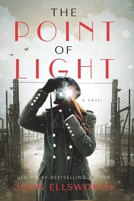 The Point of Light by Ellsworth, John