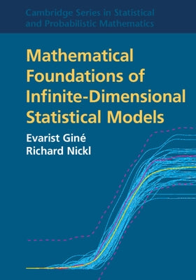 Mathematical Foundations of Infinite-Dimensional Statistical Models by Gin&#233;, Evarist