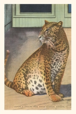 Vintage Journal Leopard, Sarasota, Florida by Found Image Press