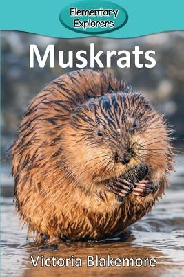 Muskrats by Blakemore, Victoria