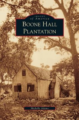 Boone Hall Plantation by Adams, Michelle