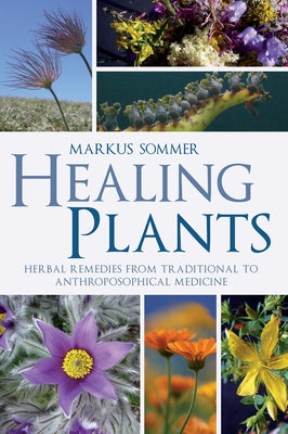 Healing Plants: Herbal Remedies from Traditional to Anthroposophical Medicine by Sommer, Markus