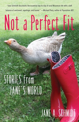 Not a Perfect Fit: Stories from Jane's World by Schmidt, Jane A.