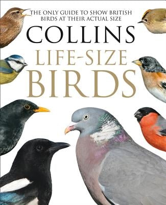 Collins Life-Size Birds: The Only Guide to Show British Birds at Their Actual Size by Sterry, Paul