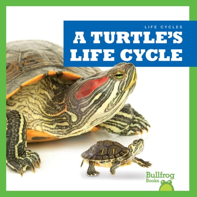 A Turtle's Life Cycle by Rice, Jamie