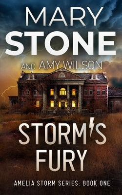 Storm's Fury by Stone, Mary