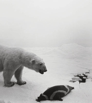 Hiroshi Sugimoto: Dioramas by Sugimoto, Hiroshi