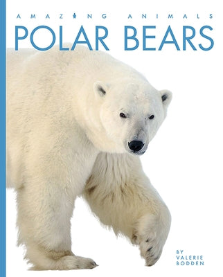 Polar Bears by Bodden, Valerie